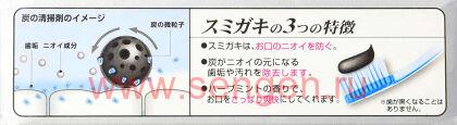 Очищающая и освежающая зубная паста KOBAYASHI Sumigaki, с древесным углём и мятными травами, 100г.