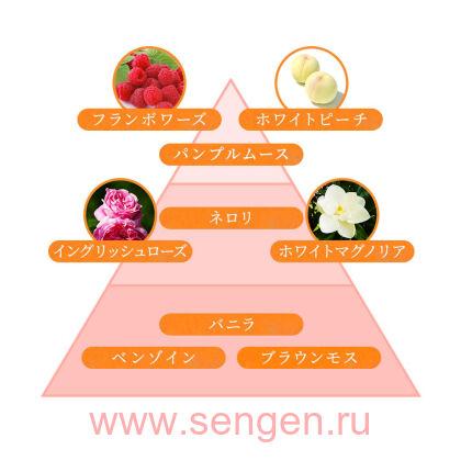 Кондиционер для белья LION Aroma Rich Diana, c ароматом малины, английской розы и магнолии, бутылка с колпачком-дозатором, 520мл.