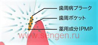 Зубная паста для защиты от болезней десен и кариеса LION Dentor Systema, со вкусом перечной мяты, 130г.