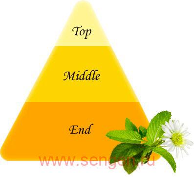 Жидкое мыло для тела KOSE Softymo Natu Savon Body Wash Yuzu & Honey, с натуральными ингредиентами, с ароматом мяты, юдзу и меда, 500мл.