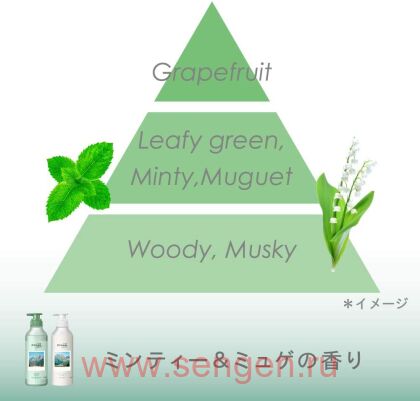 Кондиционер для волос KAO Merit Pyuan "Natural", с ароматом мяты и ландыша, 425мл.