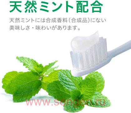 Лечебная зубная паста для профилактики заболеваний пародонта LION Systema EX Extra Herb, с ароматом трав, 130г.