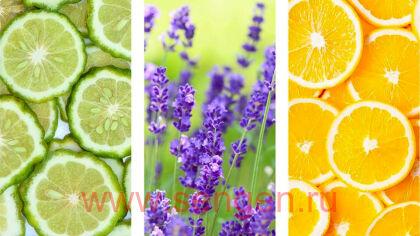 Увлажняющее жидкое мыло-пенка для тела KRACIE Muo Foam Body Wash, без добавок, с натуральными эфирными маслами и ароматом бергамота, лаванды и нотками апельсина, сменная упаковка 380мл.