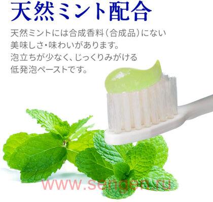 Мягкий зубной гель для комплексного ухода и ранней профилактики кариеса LION Clinica Advantage Next Stage Citrus Mint, для чувствительных зубов и слабых дёсен, с ароматом мяты и юдзу, 90г.