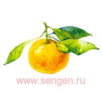 Крем для рук KOSE Precious Garden Japanese Yuzu, питательный и увлажняющий, c тремя видами растительных масел, с ароматом японского юдзу, 70г.