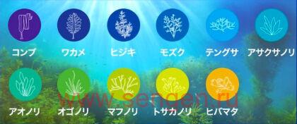 Увлажняющий кондиционер для волос KRACIE Umi No Uruoiso Moisture Care, с экстрактами морских водорослей, с освежающим цветочно-морским ароматом, помпа 490г.