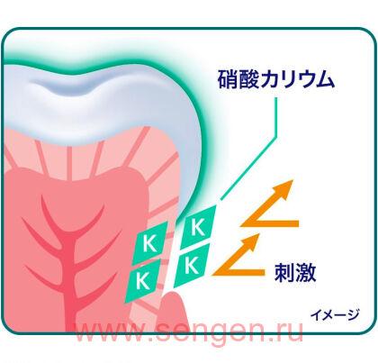 Премиальная зубная паста KAO Clear Clean Premium Sensitive, для чувствительных зубов, с нежным ароматом мяты 100г.