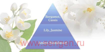 Жидкое средство для стирки NS FAFA JAPAN Fine Fragrance Layering Wash, антибактериальное, с ароматом мыла и освежающими нотками цитрусов и цветов, бутылка с колпачком-дозатором, 600г.