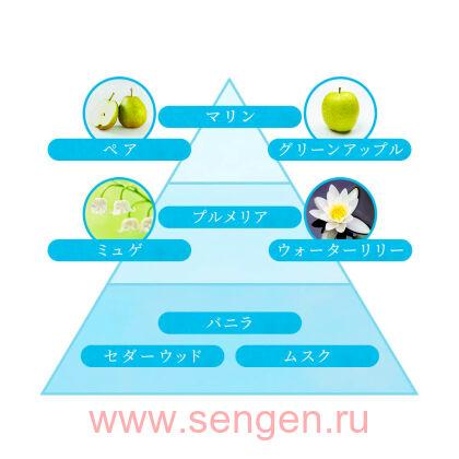 Кондиционер для белья LION Aroma Rich Sarah, с ароматом груши, ландыша и водяной лилии, бутылка с колпачком-дозатором, 520мл.