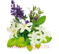 Молочко для тела KOSE Precious Garden Body Milk Relaxing Flower питательное и увлажняющее, на основе растительных масел и органических экстрактов, с ароматом лаванды и жасмина, 200г.