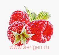 Крем для рук KOSE Precious Garden Fairy Berry, питательный и увлажняющий, c тремя видами растительных масел, со свежим ягодным ароматом, 70г.