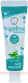Зубная паста комплексного действия PIERAS Propolinse Toothpaste Strong Mint, с экстрактом прополиса, со вкусом мяты, 120г.