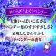Жидкий дезодорант для туалета KOBAYASHI Shoshugen for Toilet Lavender, с ароматом лаванды, 400мл.